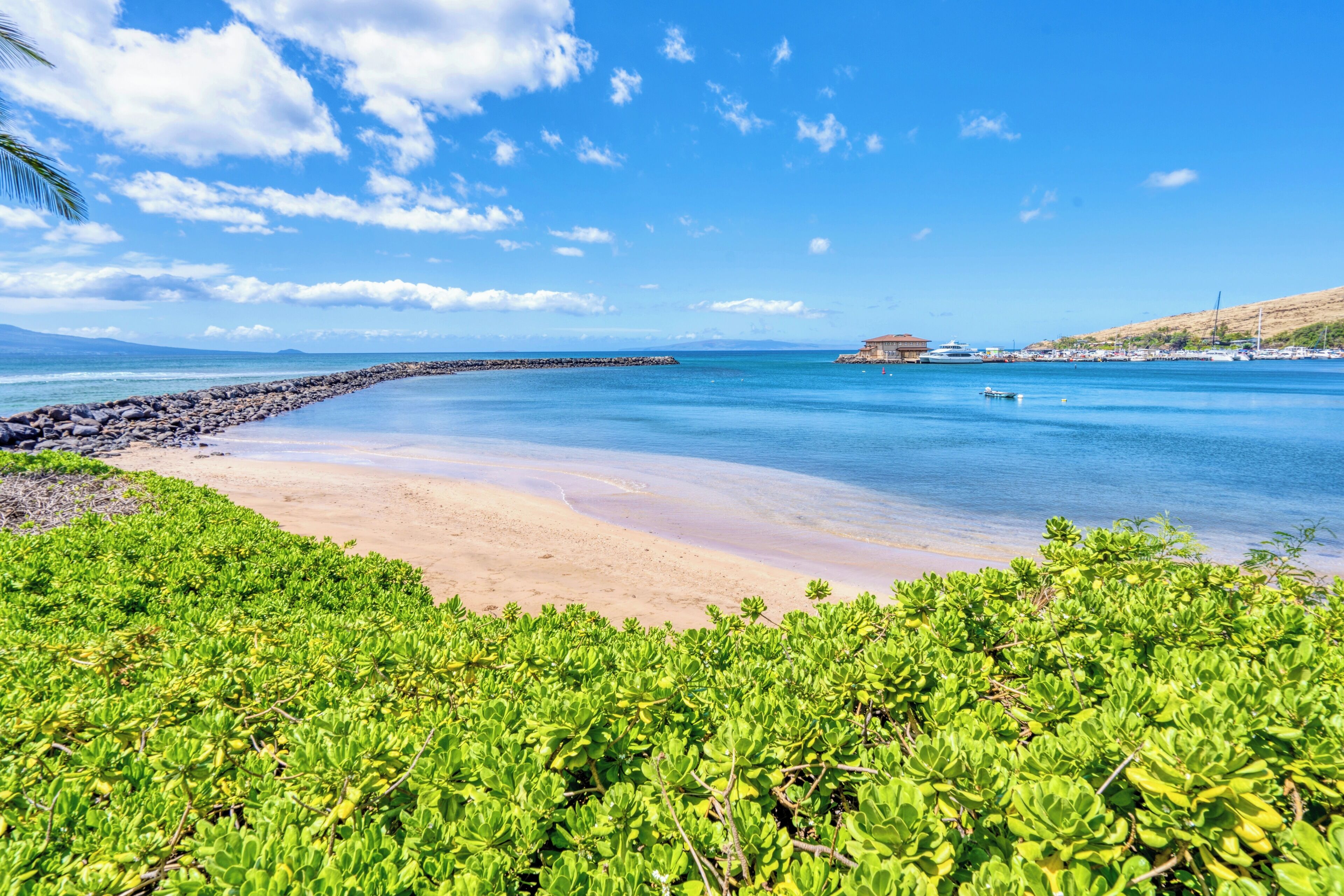 Ein Strand mit klarem, blauem Wasser, einem steinernen Wellenbrecher und üppigem Grün im Vordergrund.