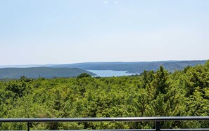 A panoramic view of a forested landscape with a lake and distant hills.