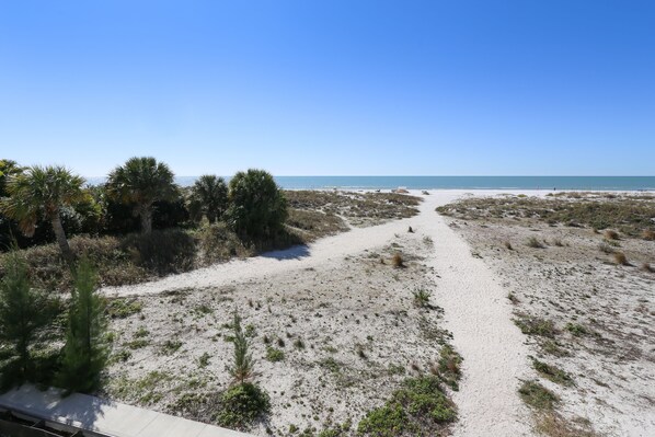 Ein Strand mit einem sandigen Pfad, der zum Meer führt, umgeben von vereinzelter Vegetation und Palmen.