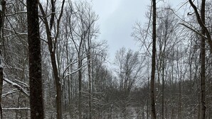 Een chalet in een besneeuwd bos, met een pad bedekt met sneeuw dat ernaartoe leidt.