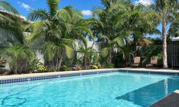 A swimming pool with clear blue water, surrounded by palm trees and a tiled edge.