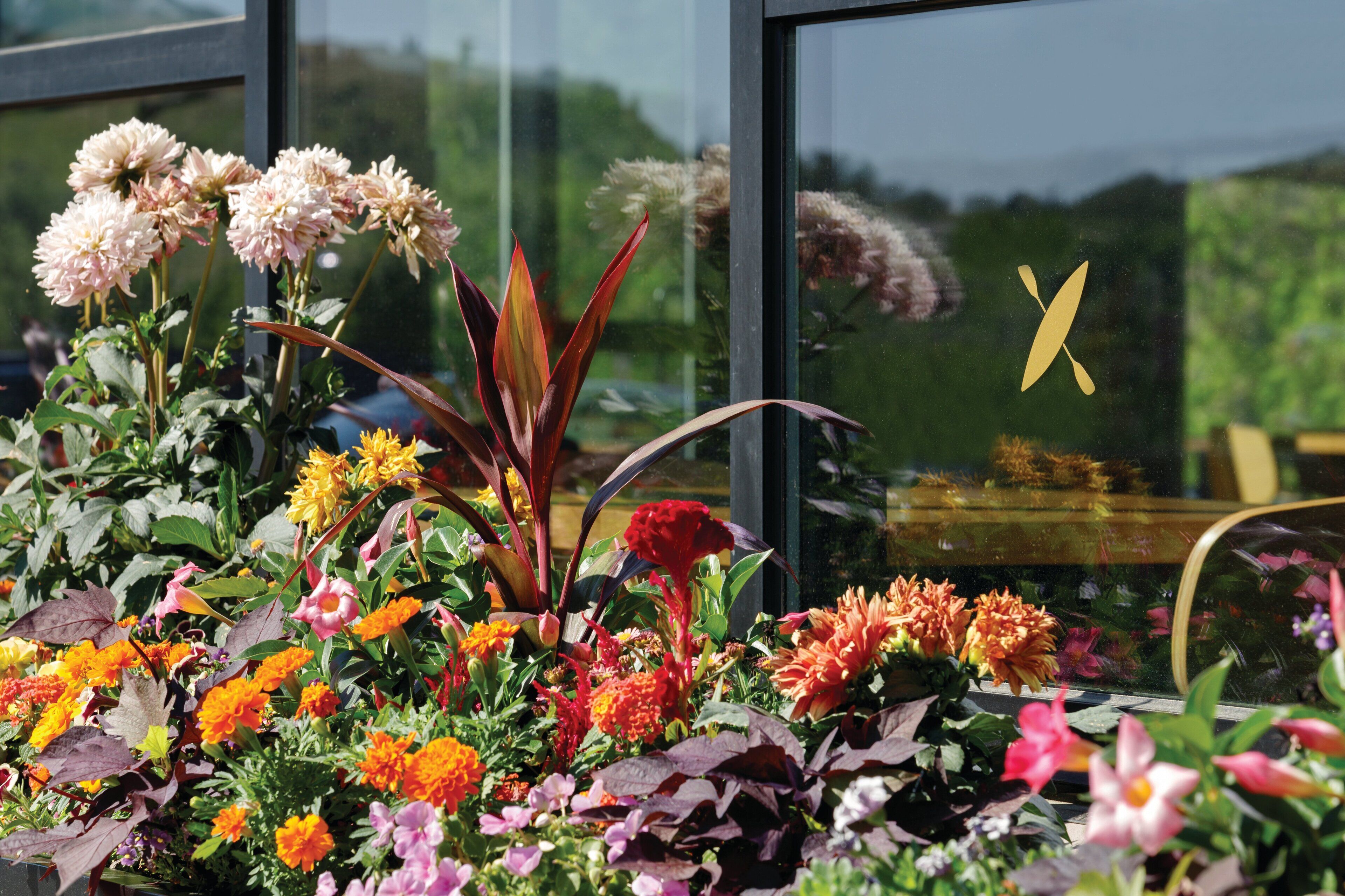 Diversas flores numa vitrine.