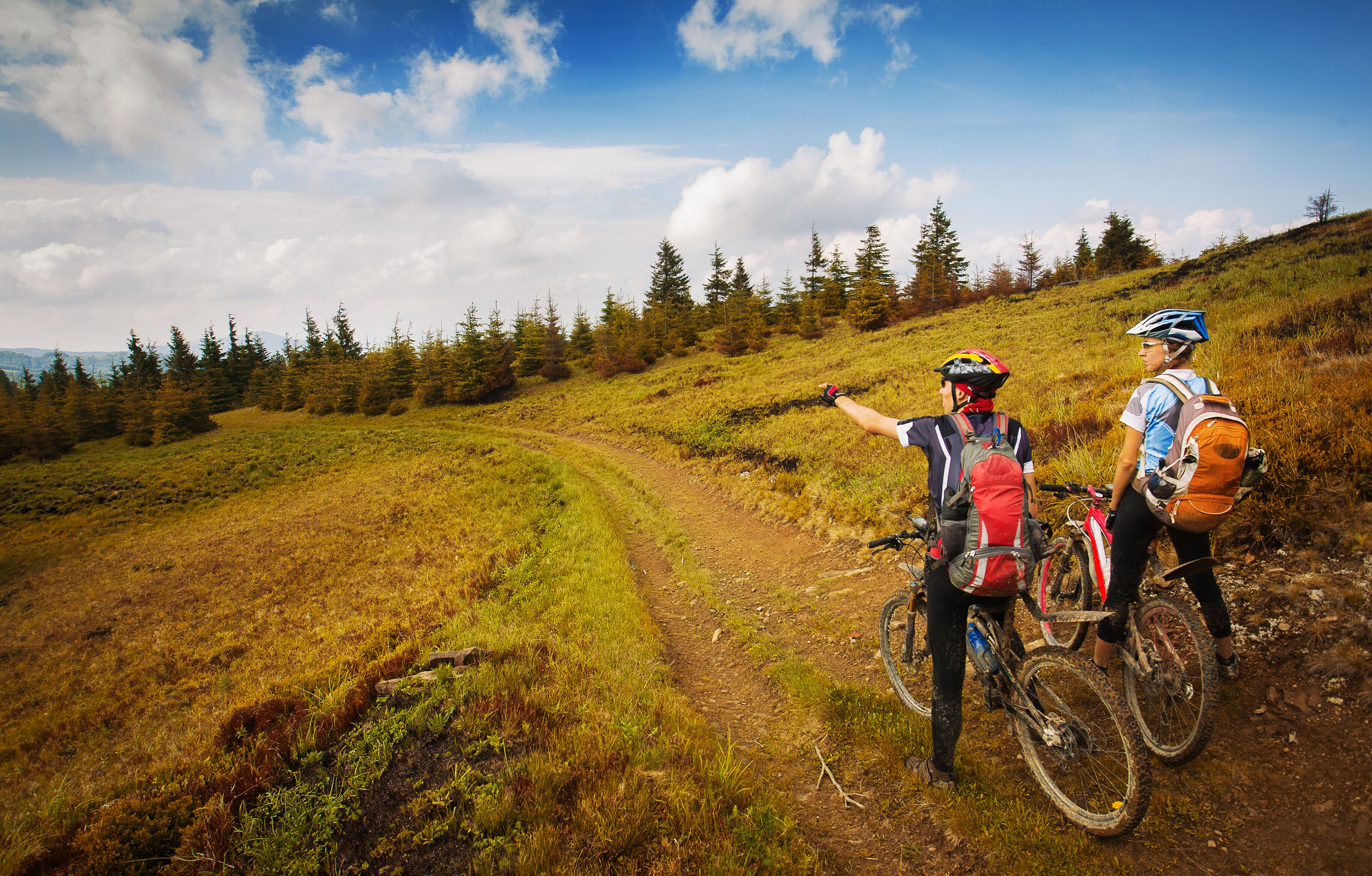 Two people on a mountain bike trail with a clear sky and forested background.