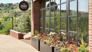 A hotel entrance with a large window display of flowers and a sign reading "The EDDY TAPROOM & HOTEL". - The Eddy Taproom & Hotel (Golden)