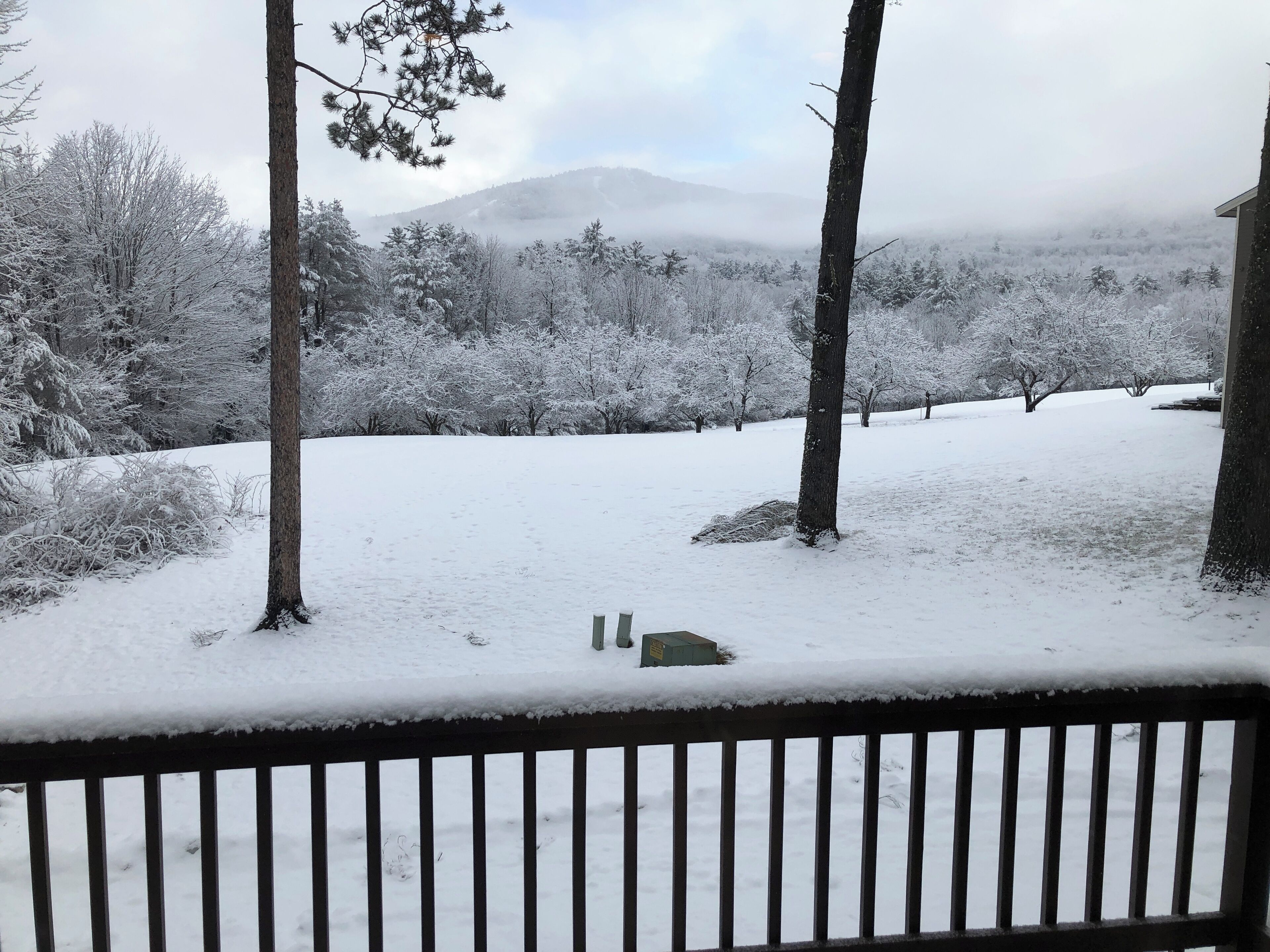 2024 - 25 Ski Season (12/1/24 - 3/31/25) Bear Puddin' North Conway, NH