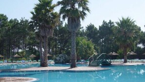 Ein Poolbereich mit Palmen, Liegestühlen und einem klaren, blauen Pool.