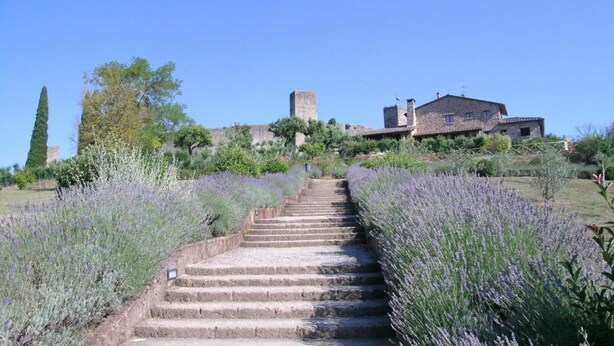 A stone staircase leading up to a historic building with a tower, surrounded by lavender fields. - Giovanna apartment on two levels overlooking the swimming pool (Castel San Gimignano)