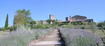 Giovanna apartment on two levels overlooking the swimming pool