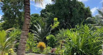 Le jardin tropical
