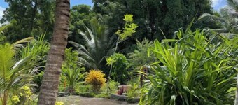 The tropical garden