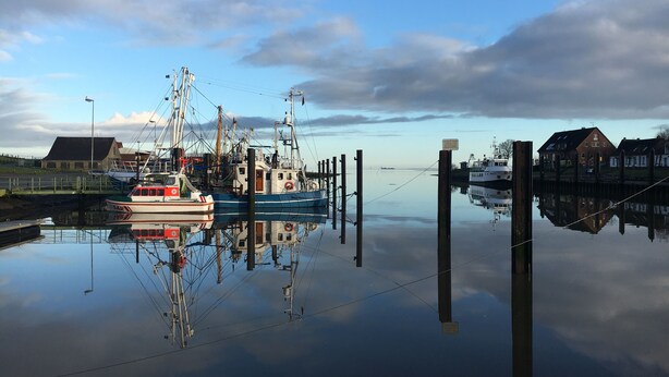Ein ruhiger Hafen mit einem anlegenden Fischerboot, umgeben von stillen Gewässern und wolkenlosem Himmel.