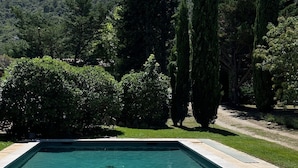 A rectangular swimming pool with a stone border, surrounded by lush greenery and tall trees. - Charming Mas in quiet Provence, between Luberon and Alpilles (Robion)