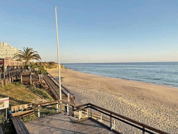 A beach with a wooden boardwalk leading to the shore, palm trees, and a clear sky.