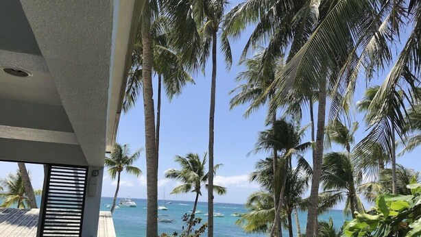 A beach view with palm trees and a clear sky. - Grand Blue Beach Hotel (Boracay Island)