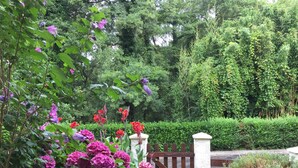 Een tuin met een houten poort, weelderig groen en bloeiende bloemen.