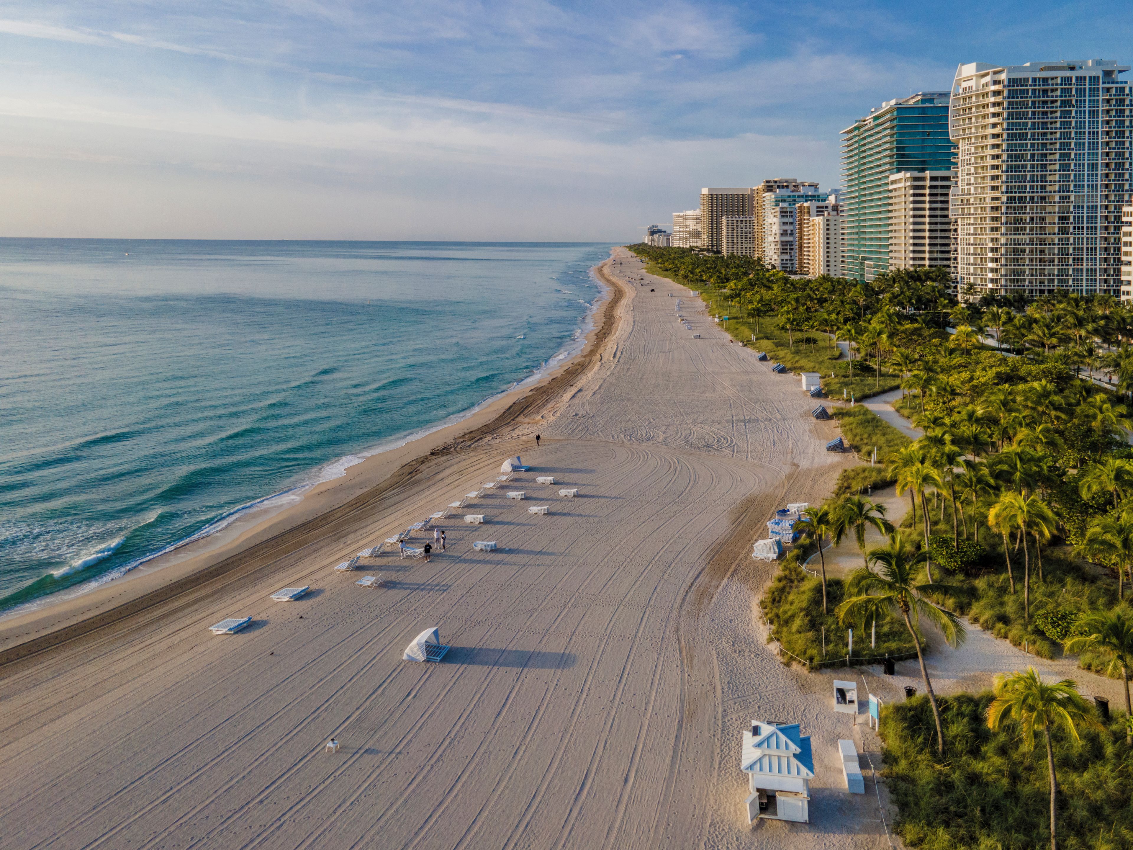 A beach with rows of beach chairs and umbrellas, a sandy shore, and tall buildings in the background.