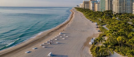 A beach with rows of beach chairs and umbrellas, a sandy shore, and tall buildings in the background.