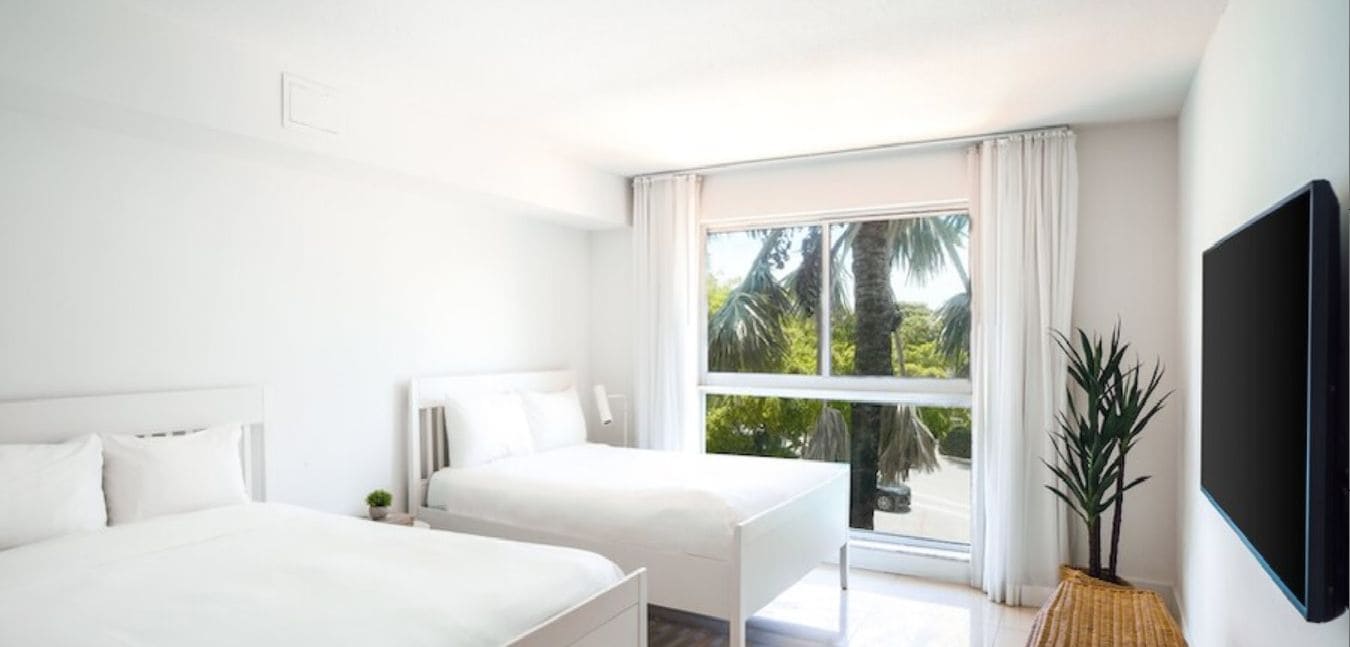 Quarto de hotel com duas camas, uma janela grande com vista para palmeiras, uma TV de tela plana e uma planta em vaso.