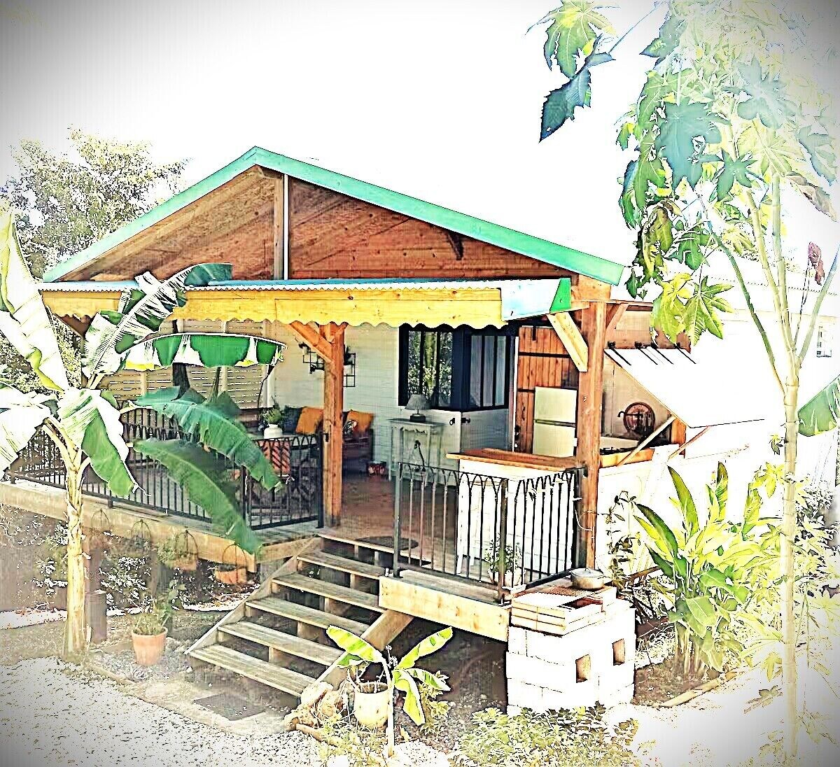 Imagen de perfil del propietario o de la propietaria