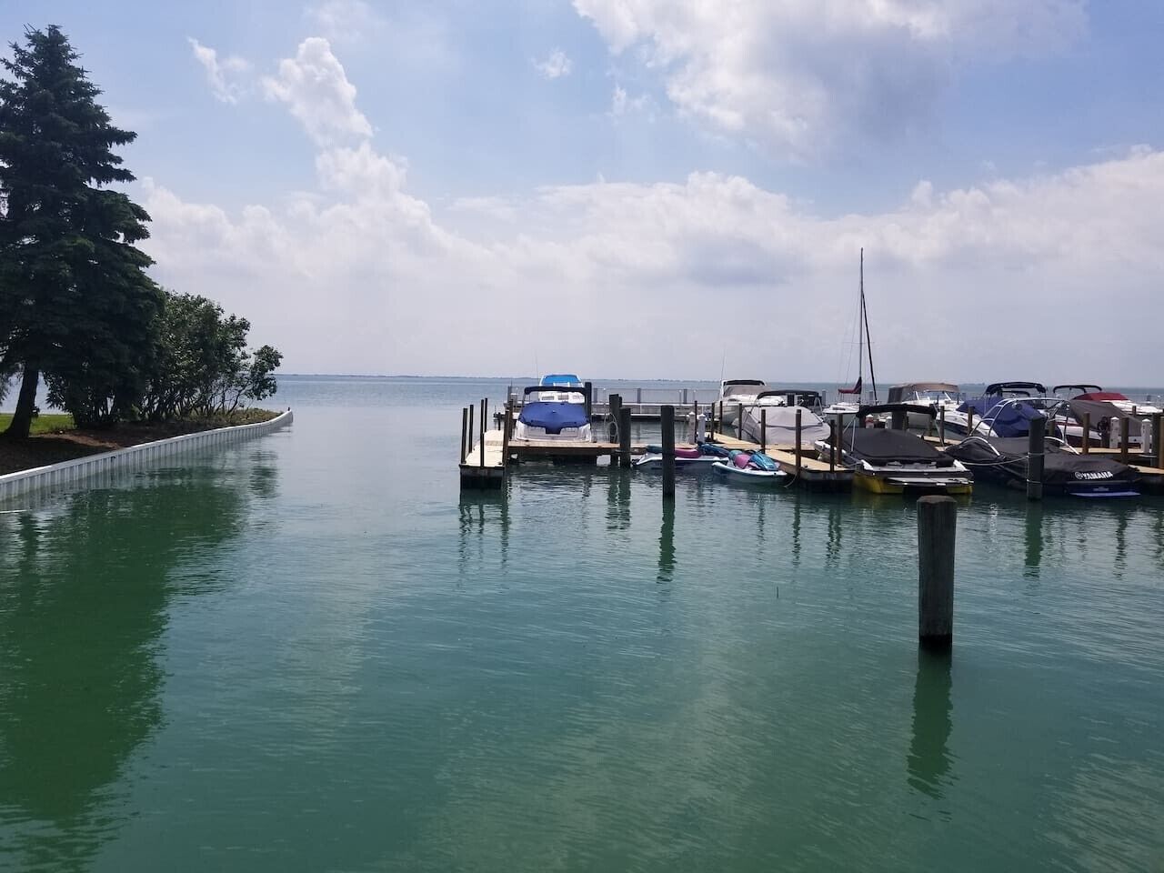 Marina