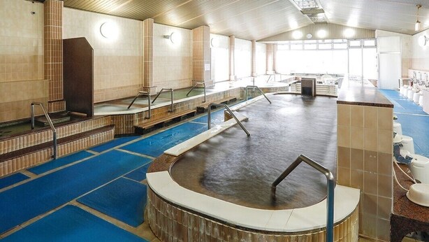 Una amplia piscina cubierta con varias pistas de natación, zona de sauna y un jacuzzi independiente.