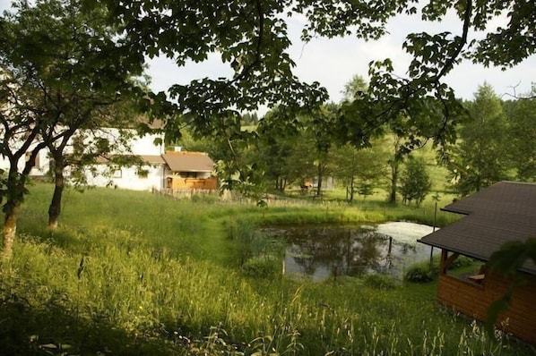 Property grounds - Holiday flat "Wiesengrund" with roof terrace (Neuhaus)