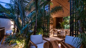 Un espace de restauration intérieur avec des tables et des chaises en bois, entouré d’une végétation luxuriante et de palmiers.