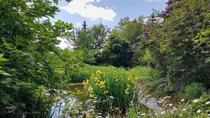 A lush garden with a variety of plants and flowers, a small pond, and a clear sky. - Ferienwohnung A3 - One Bedroom Apartment, Sleeps 3 (Klocksin)