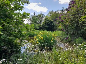 المنطقة المحيطة بالمنشأة