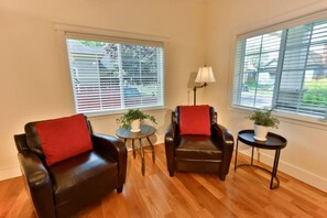 TV connectée, cheminée, lecteur de DVD, livres