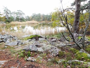 تناول الطعام