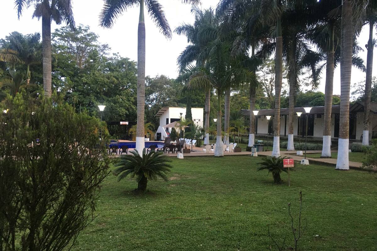 Ein Innenhof mit Palmen, einem Pool und Sitzgelegenheiten im Freien.