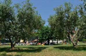 Enjoy a serene park setting surrounded by mature olive trees and a historic building with outdoor seating and a playground.