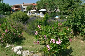 Stroll through a tranquil garden surrounded by vibrant flowers and a serene pool area.