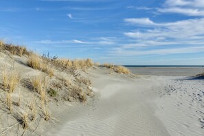Ein Sandstrand mit Dünen und vereinzelter Vegetation.