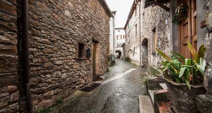 Cozy Apartment in the Tuscan Hills