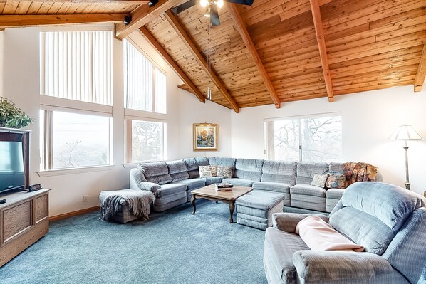 TV, fireplace, books