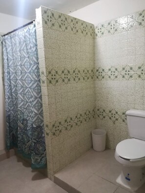 Ducha, secador de pelo, toallas, jabón