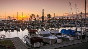 A marina with boats docked, a clear sky, and palm trees in the background.