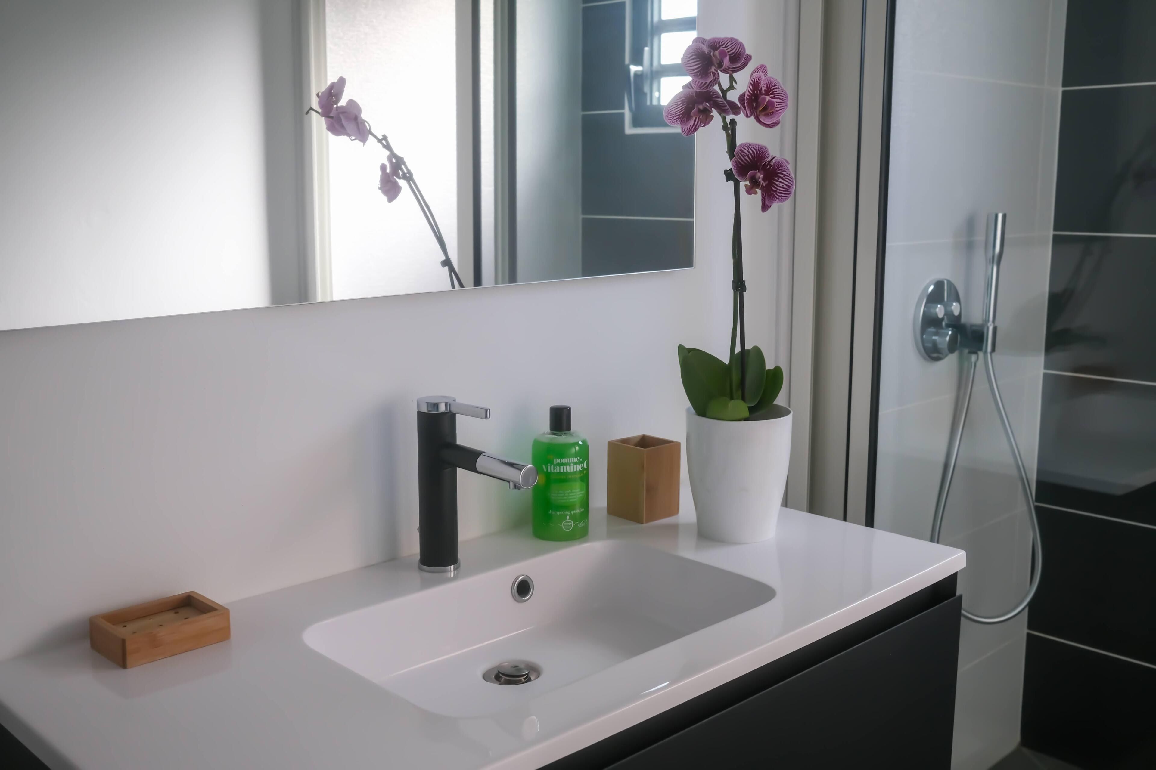 A bathroom with a white sink, a mirror, a potted orchid, and a shower.