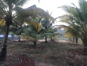 Jardines del alojamiento