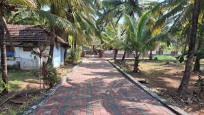 Un chemin pavé bordé de palmiers et un petit bâtiment doté d’un toit en tuiles.