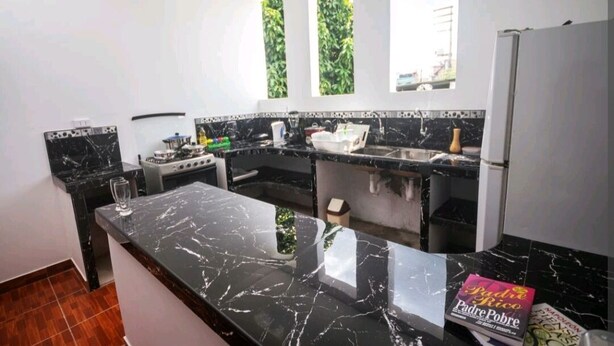 Cocina moderna con encimeras de mármol negro, estufa a gas y refrigerador. Se ven dos ventanas con follaje verde en el exterior.