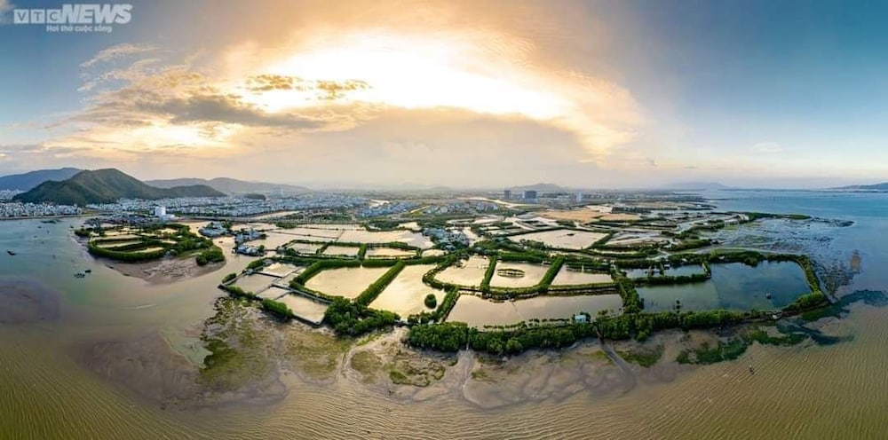 NHÀ TUI share Quy Nhơn