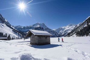 Immagine non classificata, 4 di 15, pulsante