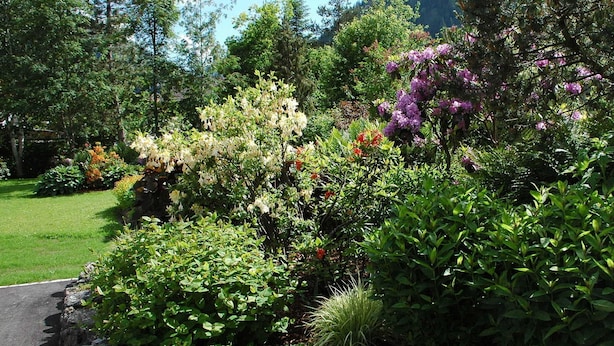 A lush garden with various flowering plants and trees, a paved path, and a mountain backdrop. - TAN 1 east (1-2 persons) - Apartments Vilsalp (Bogen)