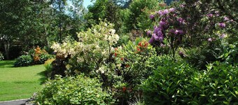 TAN 1 east (1-2 persons) - Apartments Vilsalp