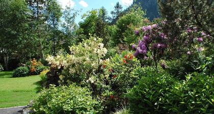 TAN 1 east (1-2 persons) - Apartments Vilsalp