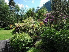 Ein üppiger Garten mit verschiedenen blühenden Pflanzen und Bäumen, einem gepflasterten Weg und einer Bergkulisse.