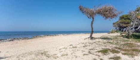 Una spiaggia nelle vicinanze